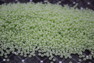 Бисер Чехия круглый 03253 10/0 500 г